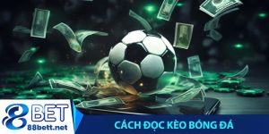 Cách đọc kèo bóng đá