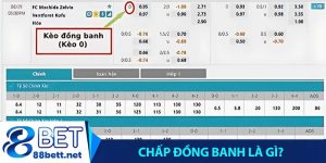 Chấp Đồng Banh Là Gì