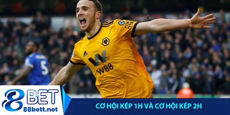 Cơ hội kép 1H và cơ hội kép 2H