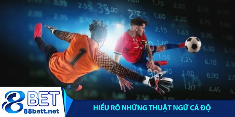 Hiểu rõ những thuật ngữ cá độ