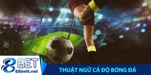 Thuật ngữ cá độ bóng đá