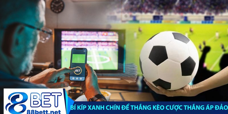 Bí kíp xanh chín để thắng kèo cược thắng áp đảo