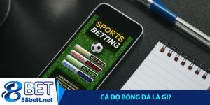 Cá độ bóng đá là gì?