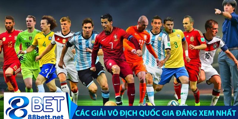 Các giải vô địch quốc gia đáng xem nhất