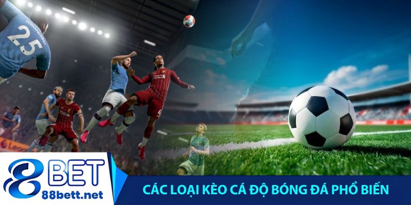 Các loại kèo cá độ bóng đá phổ biến