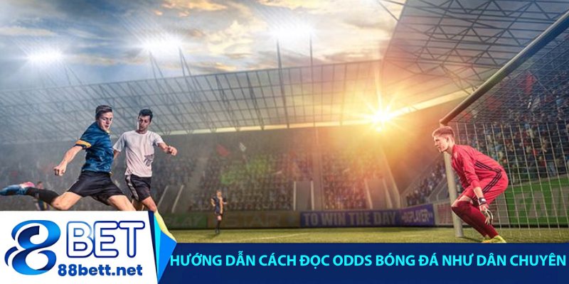 Hướng dẫn cách đọc odds bóng đá như dân chuyên