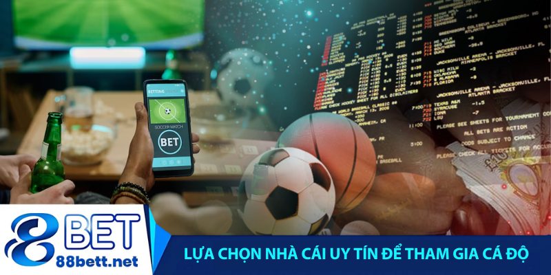 Lựa chọn nhà cái uy tín để tham gia cá độ