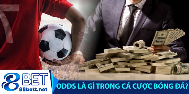 Odds là gì trong cá cược bóng đá?