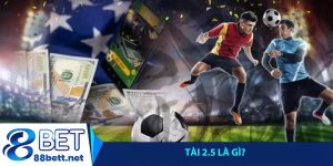 Tài 2.5 là gì_ Giải mã ngay kèo Tài Xỉu 2.5 trái cho người mới