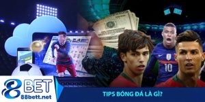 Tips bóng đá là gì?