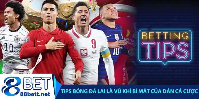 Tips bóng đá là gì vũ khí bí mật của dân cá cược