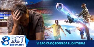 Vì sao cá độ bóng đá luôn thua