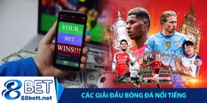 Các giải đấu bóng đá nổi tiếng