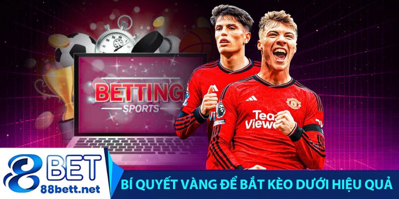Bí quyết vàng để bắt kèo dưới hiệu quả và an toàn