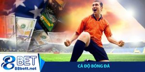 Cá độ bóng đá