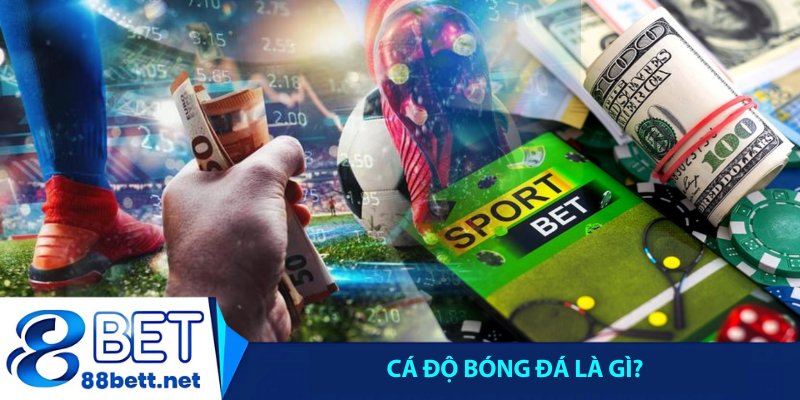 Cá độ bóng đá là gì?