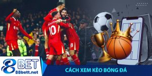 Cách xem kèo bóng đá và tính tiền cá độ từ A-Z chuẩn dân chơi