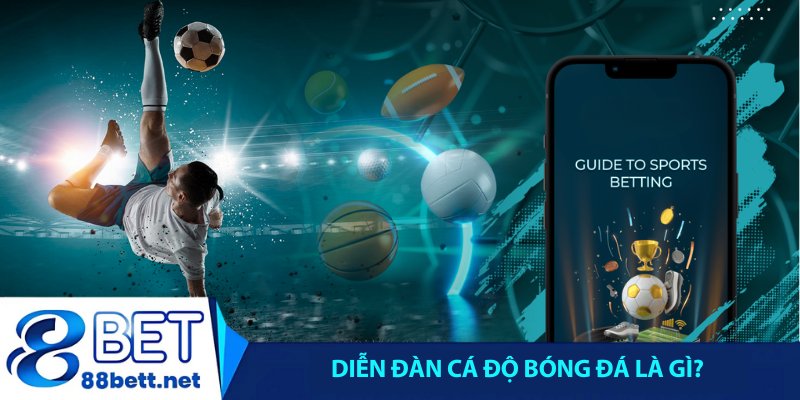 Diễn đàn cá độ bóng đá là gì?