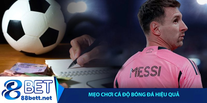 Mẹo chơi cá độ bóng đá hiệu quả