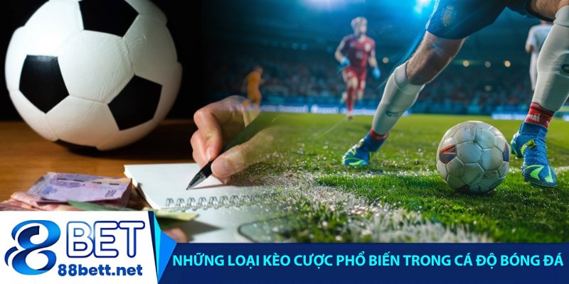 Những loại kèo cược phổ biến trong cá độ bóng đá