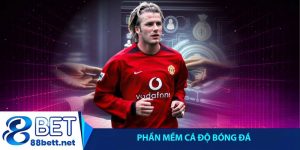 Phần mềm cá độ bóng đá